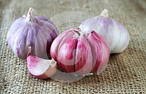 Garlic bulbs