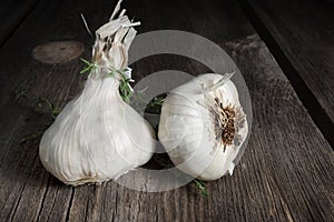 Garlic Bulbs photo