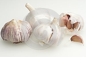 Garlic Bulbs (Allium sativum)