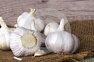 Garlic bulbs (Allium sativum) on sack
