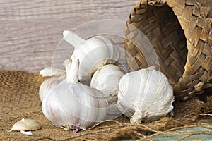 Garlic bulbs