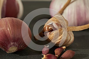 Growing garlic from cloves or bulbils photo