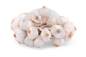 Garlic bulbs and garlic cloves isolated on white background