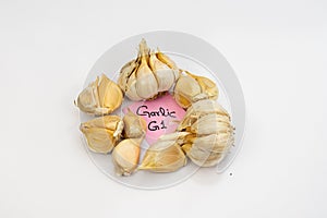 Garlic bulbs on white background