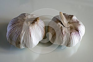 Garlic Bulbs on White Bench
