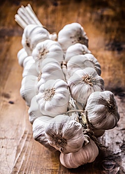 Garlic. Bunch of fresh garlic with celery herbs