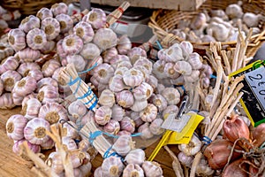 Garlic bunches