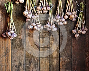 Garlic bunches against from boards