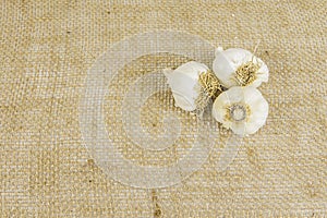 Garlic on Burlap