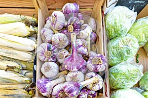 Garlic, cabbage and corn for sale in local marketplace