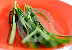 Garlic chives