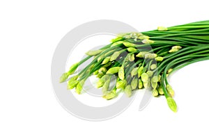 Garlic chives or Allium tuberosum isolated on white