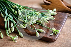 Garlic chives or Allium tuberosum on wooden table