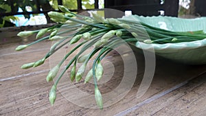 Garlic Chives photo
