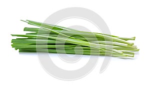 Garlic chives isolated on white background