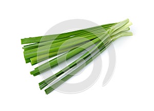 Garlic chives (leek)