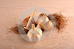 Garlic closeup on the background of the spadefoot toad