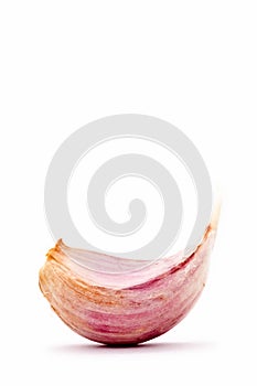 Garlic clove - Allium