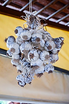 Garlic clove braid hanging