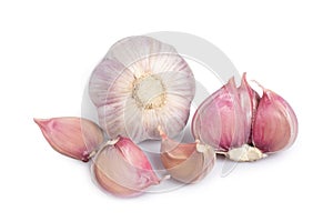 Garlic clove and bulb isolated on white background