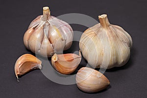 Garlic clove cloves healthy spice on a darck background