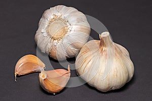 Garlic clove cloves healthy spice on a darck background