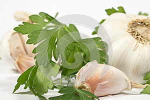 Garlic clove with fresh parsley, in front of several garlic bubs