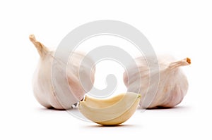 Garlic clove and garlic bulbs