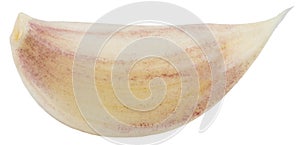 Garlic clove isolated over the white background