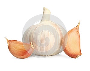 Garlic clove  on white background