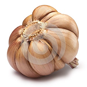 Garlic clove, whole,peeled, paths