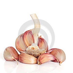 Garlic Cloves