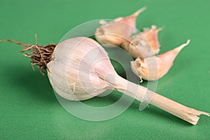 Garlic cloves and bulb on green background