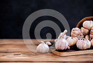 Garlic Cloves and Bulb. Thai herb and ingredient for food cooking