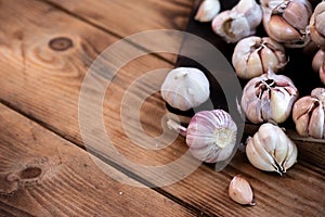 Garlic Cloves and Bulb. Thai organic herb and ingredient for food cooking Thai food.