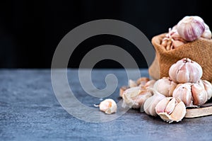 Garlic Cloves and Bulb. Thai organic herb and ingredient for food cooking Thai food.