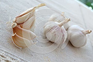 Garlic Cloves and Garlic Bulb