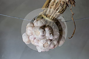 Garlic cloves and Garlic bulb