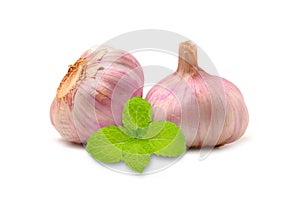 Garlic Cloves and Garlic Bulb isolated on white background