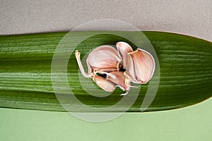 Garlic cloves on a green textured tropical leaf.