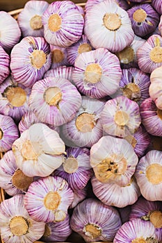 Garlic on the counter of the vegetable market. Close-up and top view of fresh vegetables on store shelves.