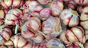 garlic in a fair photo