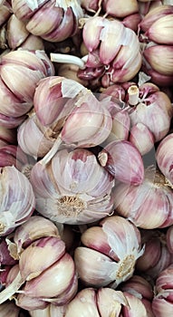 garlic in a fair photo