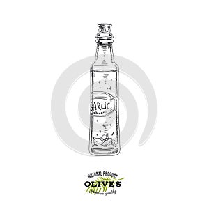 Garlic flavoured olive oil bottle, hand drawn vector illustration.