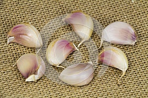 Garlic form Oganic farm
