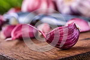 Garlic. Fresh garlic. Red garlic. Garlic press. Violet garlic.Garlic background. garlic bulbs