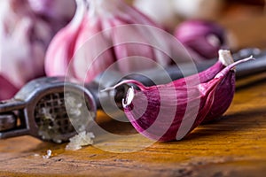 Garlic. Fresh garlic. Red garlic. Garlic press. Violet garlic.Garlic background. garlic bulbs