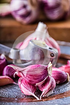 Garlic. Fresh garlic. Red garlic. Garlic press. Violet garlic.Garlic background. garlic bulbs