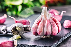 Garlic. Fresh garlic. Red garlic. Garlic press. Violet garlic.Garlic background. garlic bulbs