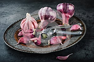 Garlic. Fresh garlic. Red garlic. Garlic press. Violet garlic.Garlic background. garlic bulbs